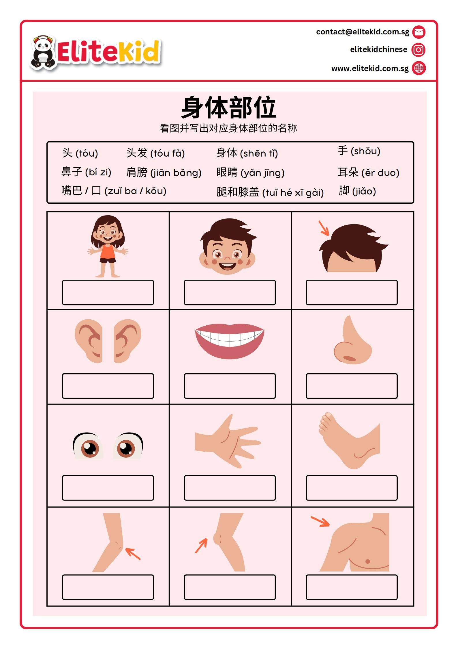 Body Parts Worksheet