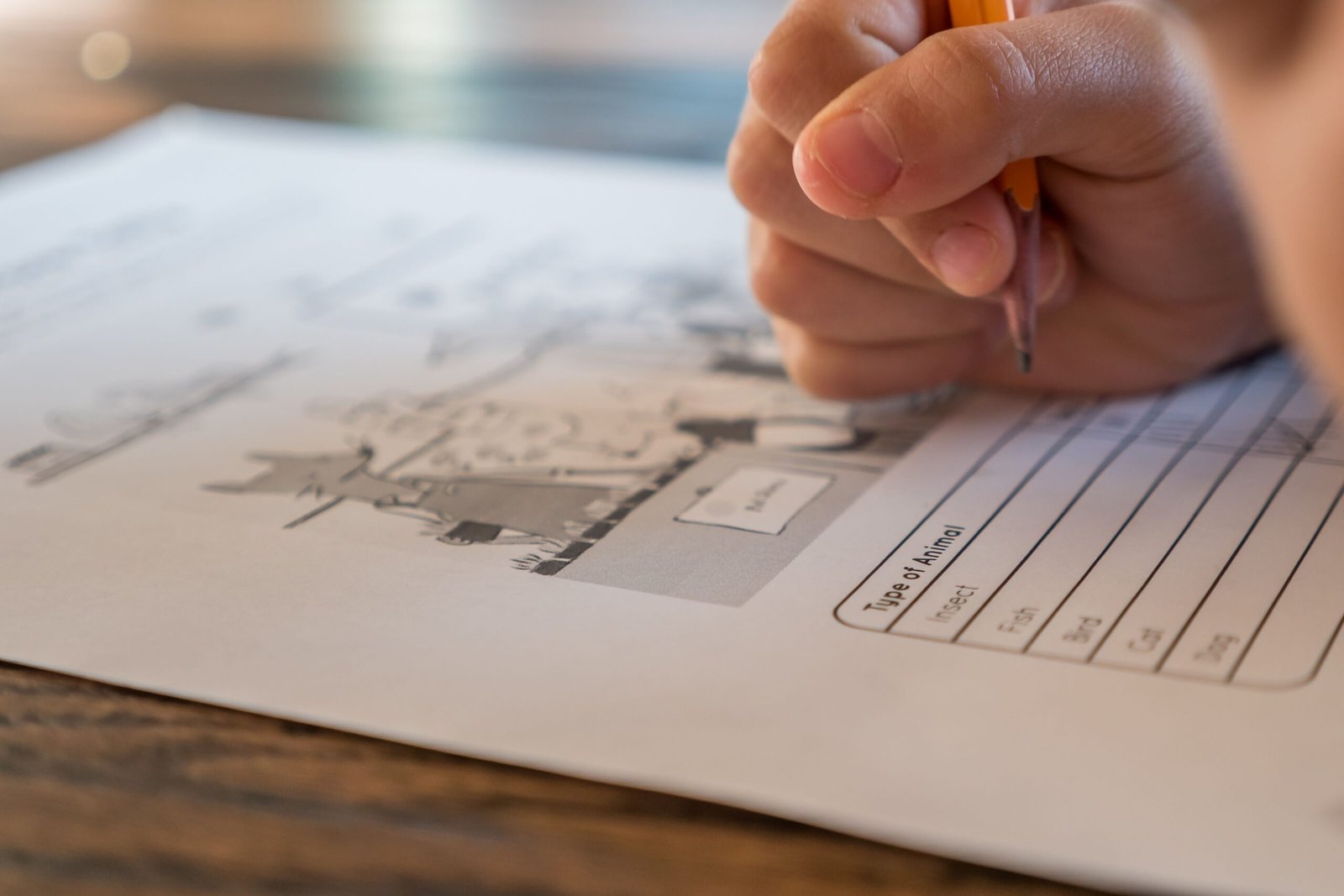 How to make Chinese worksheets for children