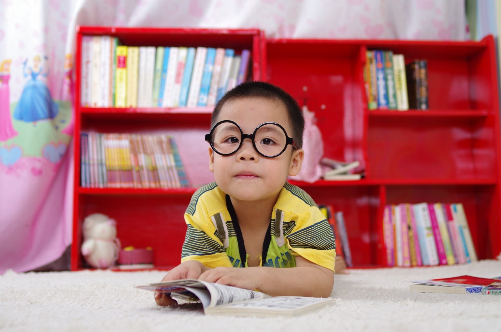 Chinese picture books as an effective learning resource